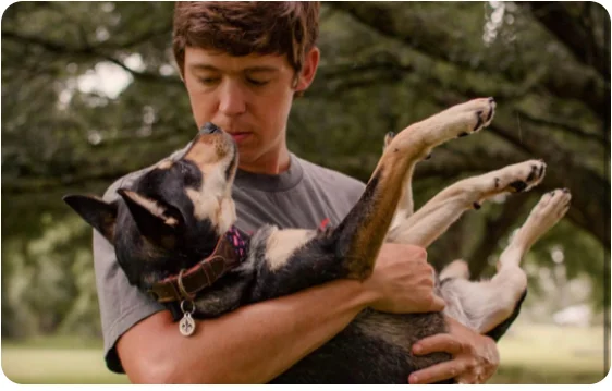 Garçon qui serre son chien dans ses bras