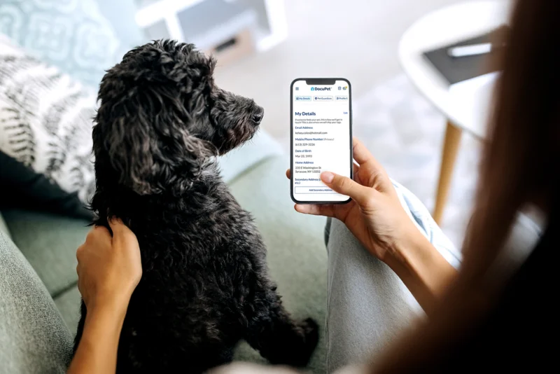 Propriétaire avec son chien, tenant un téléphone qui affiche les coordonnées de son profil DocuPet