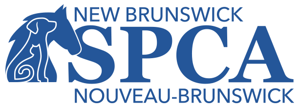New Brunswick SPCA